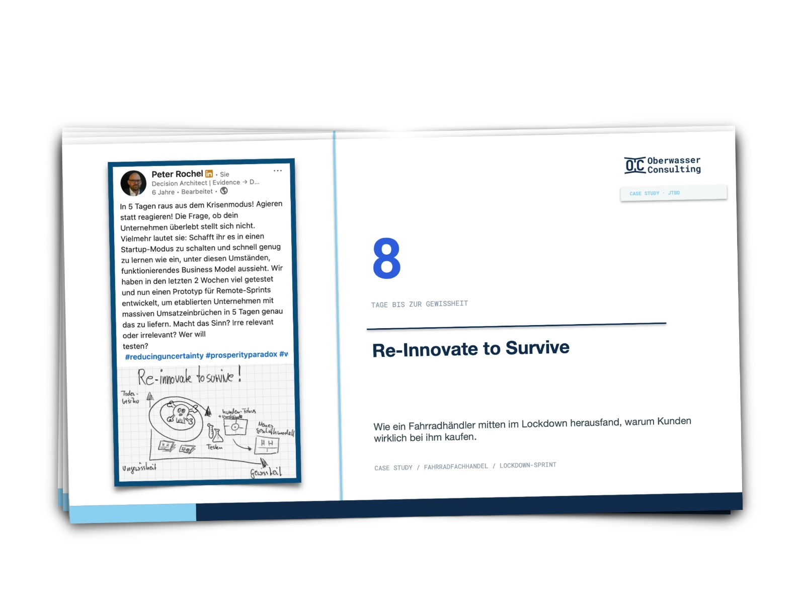 Vorschau der Case Study Re-Innovate to Survive
